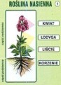 Świat przyrody część I pakiet edukacyjny