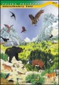 Mieszkańcy Tatr - fauna i flora, polska przyroda