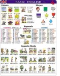 Basic English I plansza dwustronna 120 x 160 cm