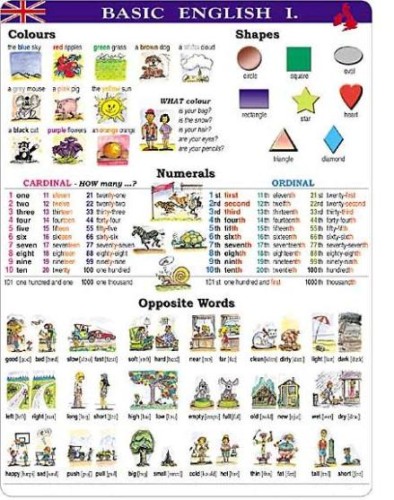Basic English I. plansza dwustronna 120 x 160 cm 