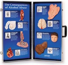 Konsekwencje nadużywania alkoholu - zestaw edukacyjny