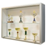 Gablota na puchary 120x90x25 cm