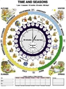 Rytmy przyrody/Time and seasons plansza dwustronna