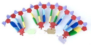 RNA duży model biosynteza białek