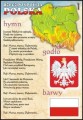 Polskie godło, barwy, hymn