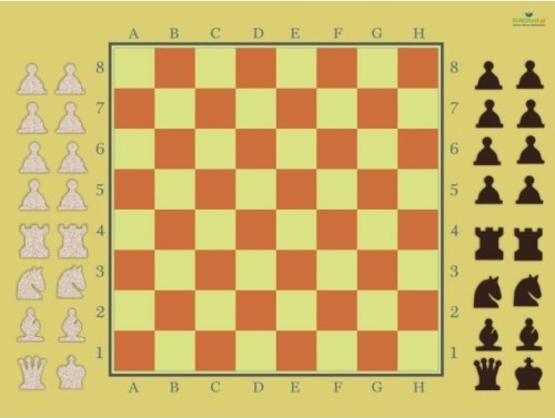 Szachy demonstracyjne na tablicy magnetycznej