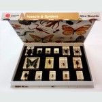 Zestaw pokazowy - owady i pajęczaki 15 szt. 