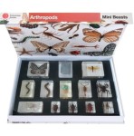 Zestaw pokazowy - stawonogi 12 szt. 
