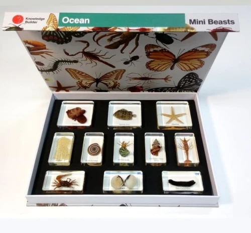 Zestaw pokazowy - Ocean