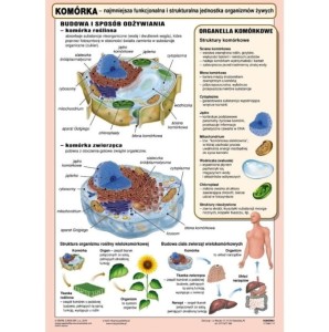 Komórka plansza 100 x 140 cm