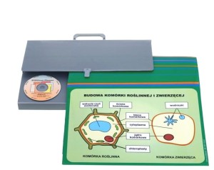 Przyroda - zestaw dydaktyczny 