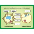 Przyroda - zestaw dydaktyczny