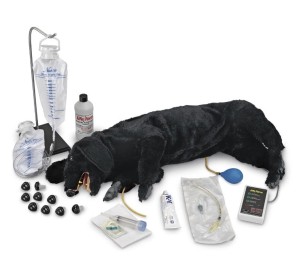 Zaawansowany fantom psa do RKO 