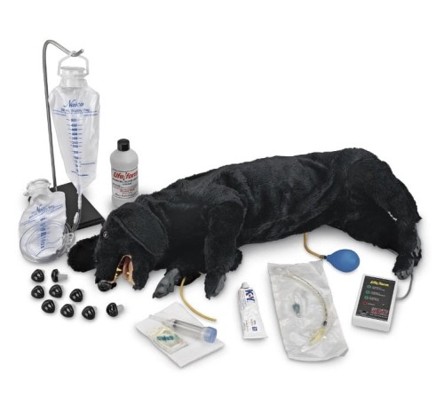 Zaawansowany fantom psa do RKO