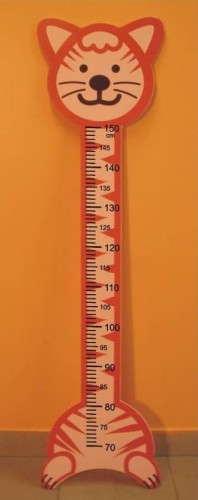 Miara wzrostu ucznia - Kot