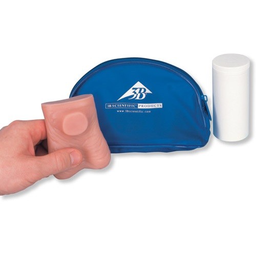 Model do badania jąder