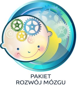 Pakiet Rozwój Mózgu zestaw gier na podłogę interaktywną funfloor 