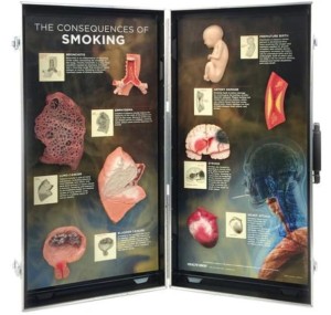 Konsekwencje palenia tytoniu Prezentacja 3D