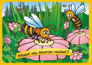 Jak powstaje miód, chleb, cukier? - zestaw plansz edukacyjnych z kartami pracy i płytą CD