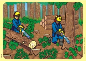 Jak powstają meble, ubranie, szkło - zestaw plansz edukacyjnych z kartami pracy i płytą CD