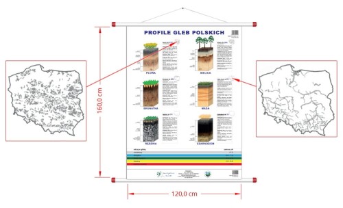 Profile gleb polskich - plansza 120 x 160 cm