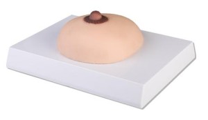 Model piersi z guzami rakotwórczymi