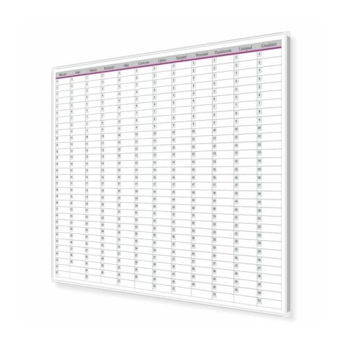 Tablica Planer Roczny 200x120 cm