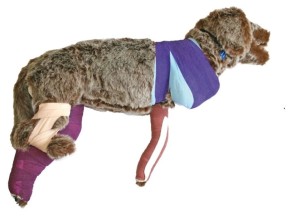 Fantom psa do nauki bandażowania 