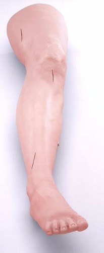 Fantom model nogi do zakładania szwów 