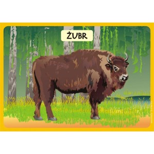 Zwierzęta chronione zestaw plansz