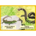 Zwierzęta chronione zestaw plansz
