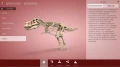 Aplikacja Corinth - Paleontologia i Kultura