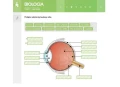Multimedialne Pracownie Przedmiotowe Biologia (Klasy 5–8)