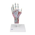 Pełny model na podstawie - prezentacja całego zestawu 33 x 18 cm