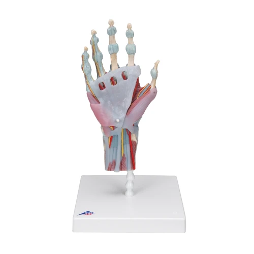 Pełny model na podstawie - prezentacja całego zestawu 33 x 18 cm