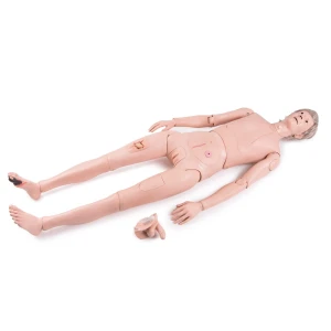Wielofunkcyjny fantom medyczny – dwupłciowy manekin pielęgnacyjny ze stomią (174 cm)