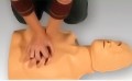 Fantom Practi Man BLS/AED 
