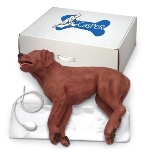 Fantom psa do RKO „Casper”