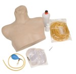 Model do nauki kaniulacji żył centralnych