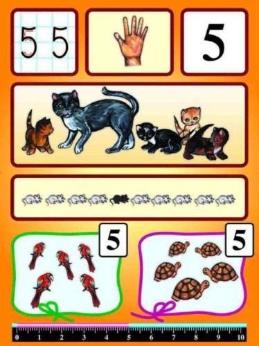 Poznajemy liczby - zestaw edukacyjny część I