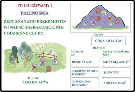Tropy stylistyczne - pakiet edukacyjny 