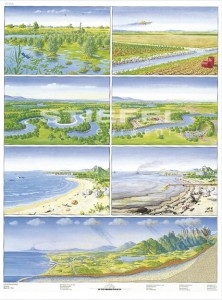 Zagrożenie środowiska woda - miasto plansza 120 x 160 cm