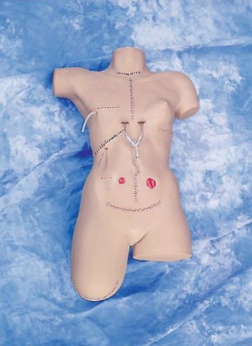 Model do nauki opatrywania