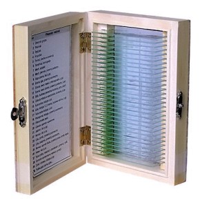 Zestaw preparatów roślinnych 25 szt.