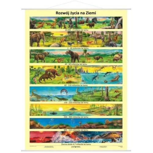 Rozwój życia na Ziemi plansza 120 x 160 cm