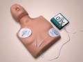 Fantom Practi Man BLS/AED 