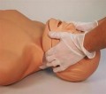 Fantom CPR BRAD tors z ruchomą szczęką 