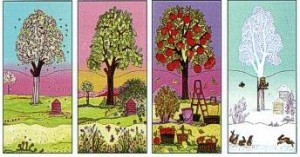 Sad w czterech porach roku pakiet edukacyjny