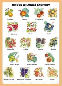 Owoce - plansza dwustronna