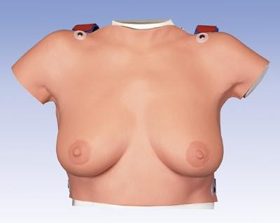 Model do badania piersi 